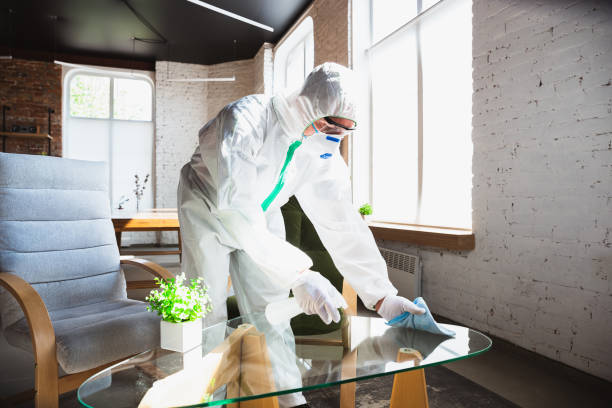 Best Biohazard Mold Removal in Avon By The Sea, NJ