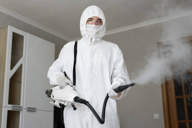 Reliable Avon By The Sea, NJ Mold Removal Solutions